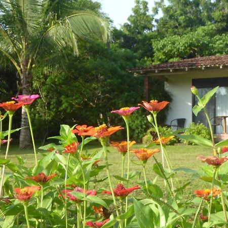 La Rosa De Los Vientos Acomodação com café da manhã Pedasi Town Exterior foto