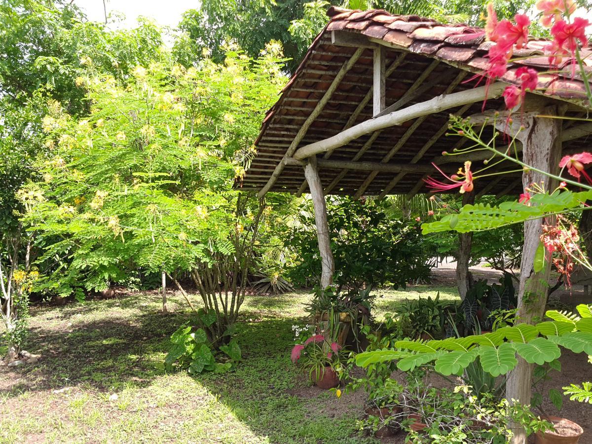 La Rosa De Los Vientos Acomodação com café da manhã Pedasi Town Exterior foto