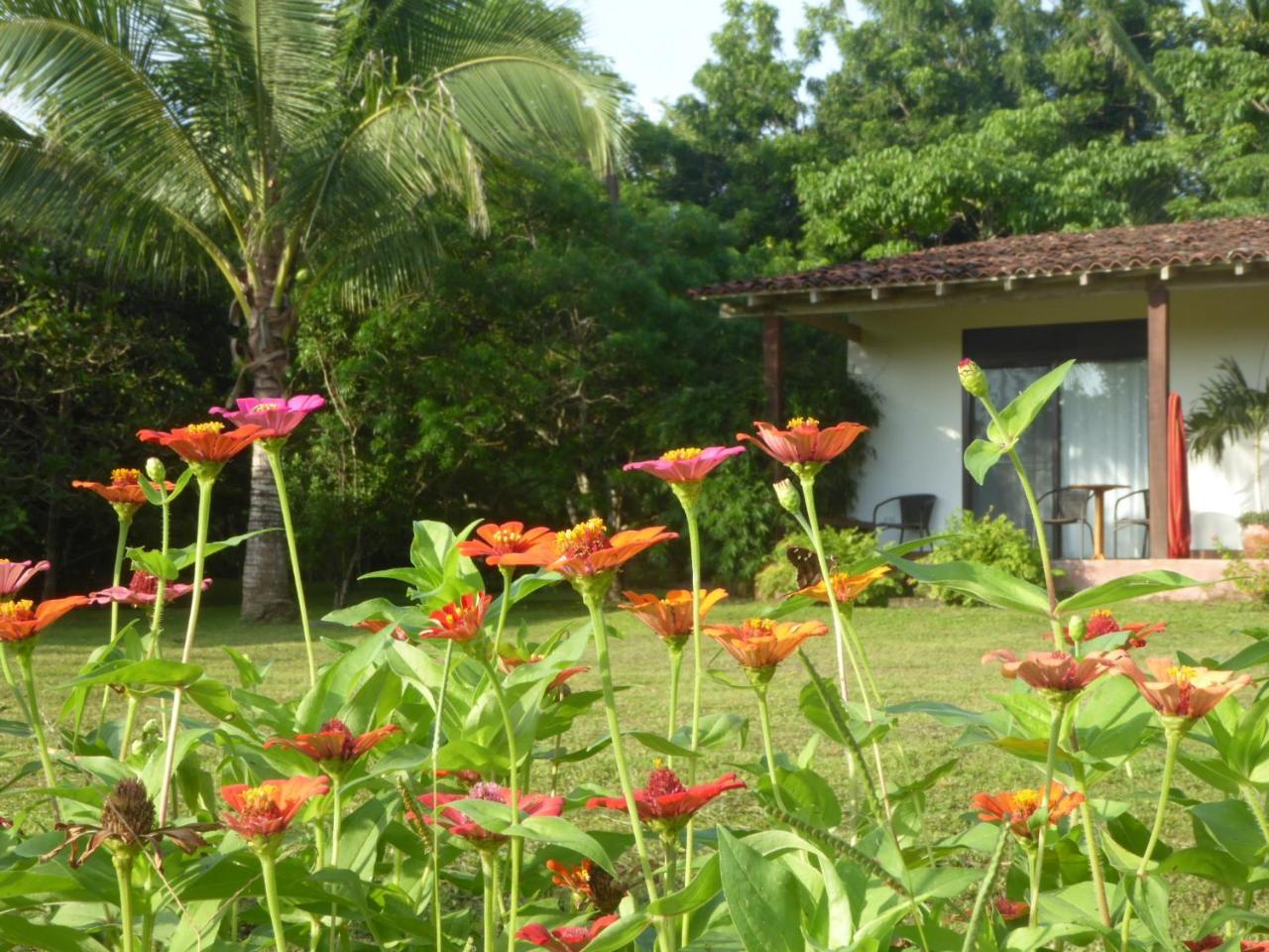 La Rosa De Los Vientos Acomodação com café da manhã Pedasi Town Exterior foto